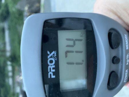 春烏賊終盤に2キロ越え