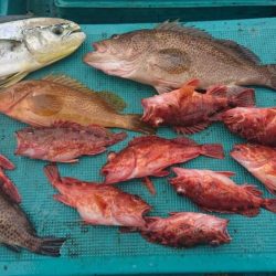 ボチボチやな！