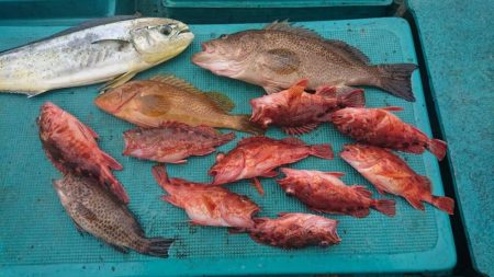 ボチボチやな！