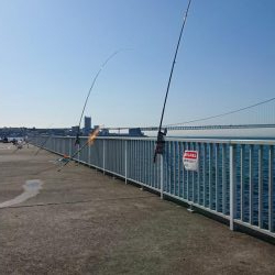 うれしい珍ゲスト！？