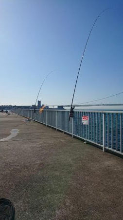 うれしい珍ゲスト！？