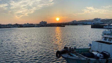 小さな青物回ってます