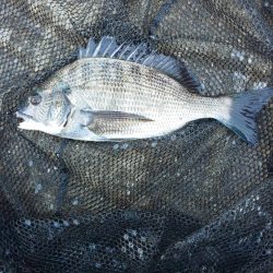 久々の複数枚 ~さざなみ公園~