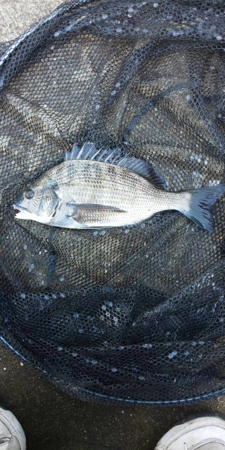 久々の複数枚 ~さざなみ公園~