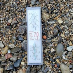 今年はよく追う