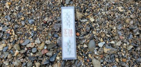 今年はよく追う