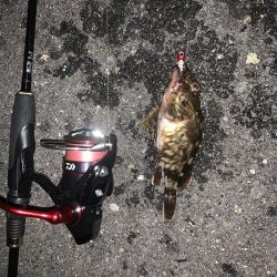 サバリング・ガシリング