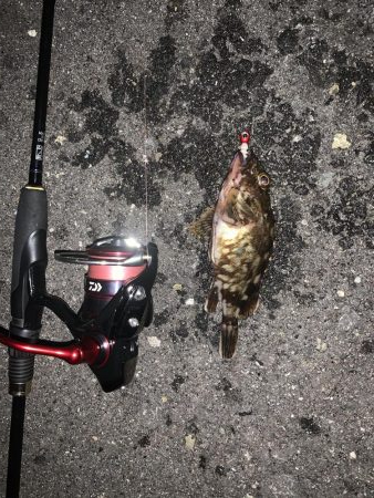 サバリング・ガシリング