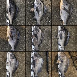 イチノ兄弟、釣果!