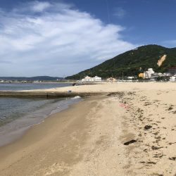 ピンギスチョイ投げゲーム