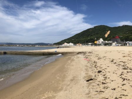 ピンギスチョイ投げゲーム