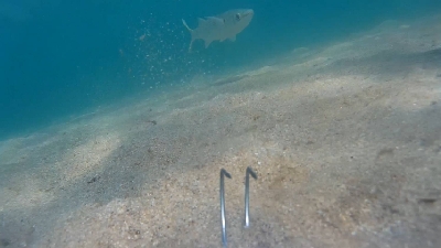 リリースサイズばっかり