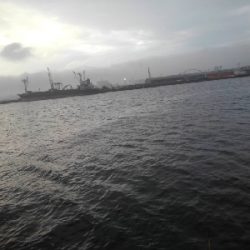 6/12夕方〜夜釣りの釣果