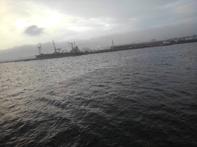 6/12夕方〜夜釣りの釣果