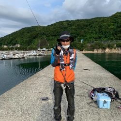 圧倒的サバ大群大挙