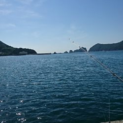 何じゃコイツは??怪魚?