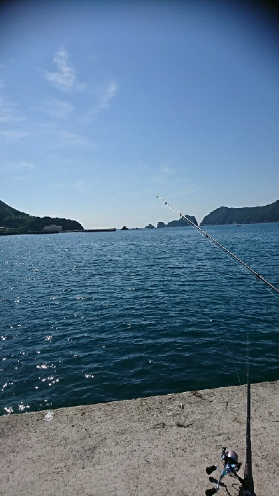 何じゃコイツは??怪魚?