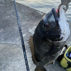 小鯖釣りが＼(^^)／