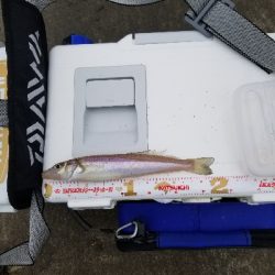 今日は、遅めの出発です。