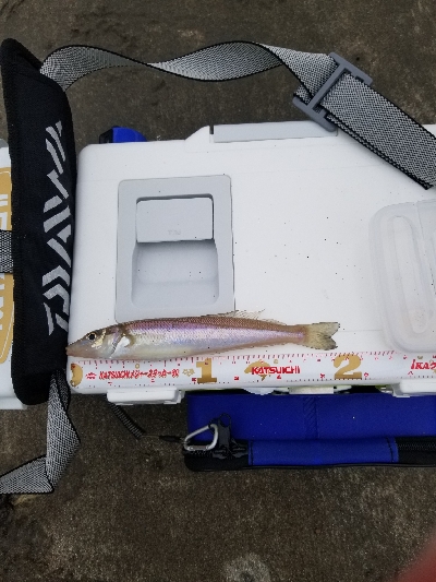 今日は、遅めの出発です。