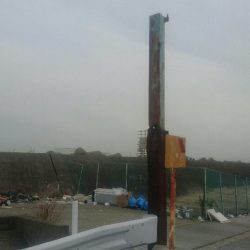 タコ釣れました❗