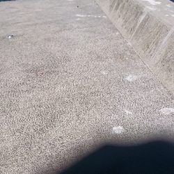 久しぶりの投稿