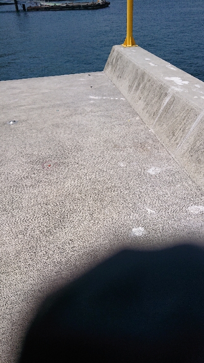 久しぶりの投稿