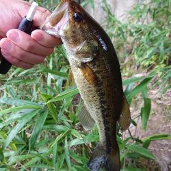 スピニングゲーム