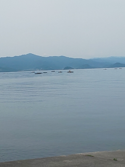 剣、紋、蛸、頭