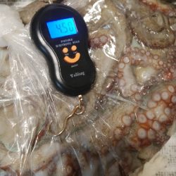 昼まで粘って13匹総重量4.5kgOVER