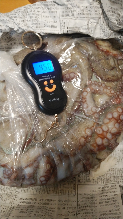 昼まで粘って13匹総重量4.5kgOVER