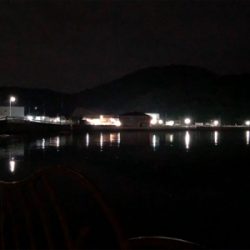 当たりはある！