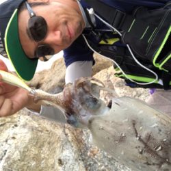 紋甲イカは朝まずめが熱い♪GUNNING-STYLE