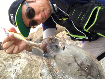 紋甲イカは朝まずめが熱い♪GUNNING-STYLE