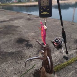 Newロッド墨付け