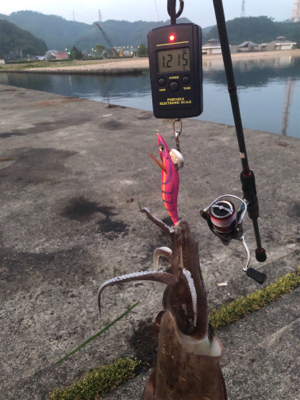 Newロッド墨付け