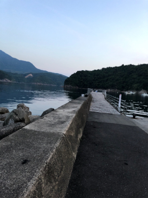 解除明け初釣行