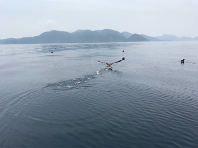 マイボートでタイラバ釣行