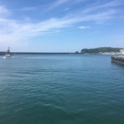 ヒラメ一匹釣れました^_^