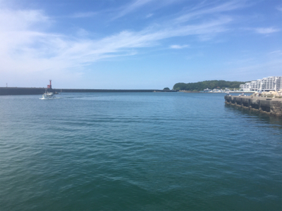 ヒラメ一匹釣れました^_^