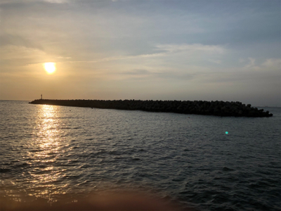 嬉しい外道•*¨*•.¸¸☆*･ﾟ