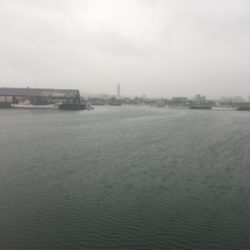 大雨の中のダツ85センチ