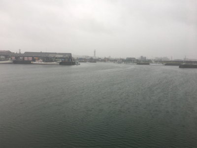 大雨の中のダツ85センチ