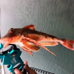 出雲〜萩尾にて