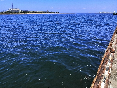 早朝オクトパッシング