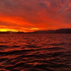 初ショアタイラバ