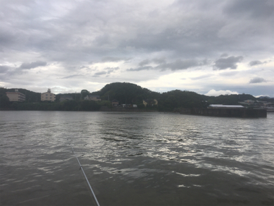 小鯖泳がせでツバス