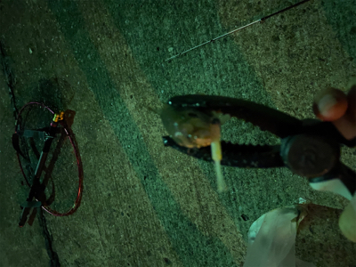 サバゲー&アジング