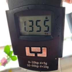 タコ、プチ爆！