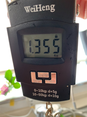 タコ、プチ爆！